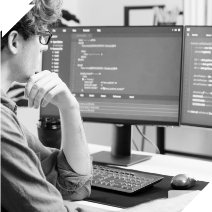 Web development